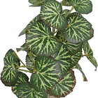 Labeo - Plante Verte Assortie Décorative pour Terrarium image number null