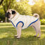 Gotoo - Manteau Deperlant et R&eacute;versible pour Chiens - 30cm Indicateur image num&eacute;ro 15