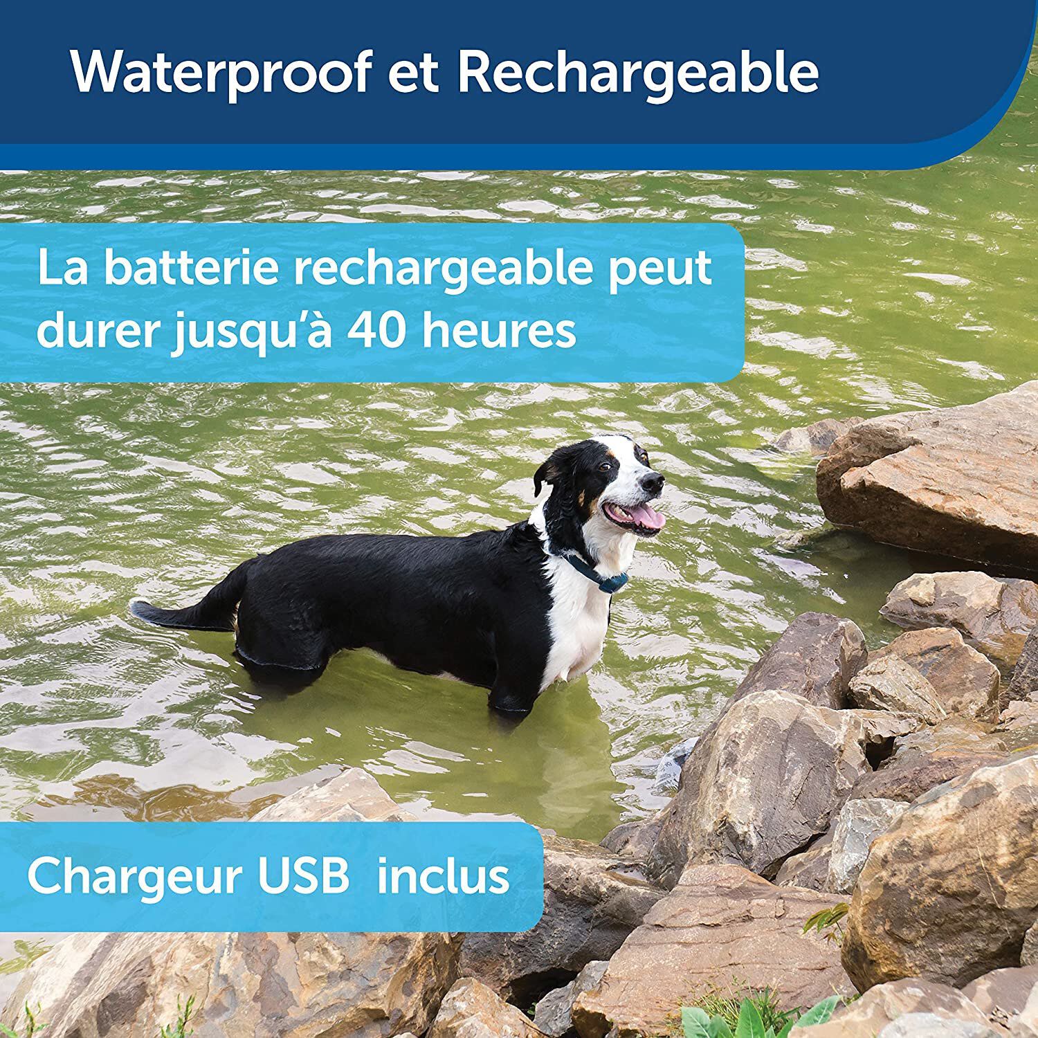 PetSafe - Syst&egrave;me d'Aide &agrave; l'Education pour Chiens - 100m Image num&eacute;ro 8