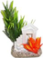 Labeo - Décor colonne avec Plante Artificielle - Aquarium Indicateur image numéro 1