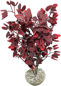 Labeo - Plante Décorative Micranthenum BGY pour Aquarium
