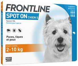 Frontline - Pipettes Antiparasitaire Spot On x6 pour Chiens