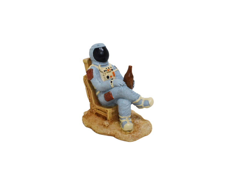 Amtra - Décoration Cosmos Astronaute Boit Bière Image numéro 1 Amtra - Décoration Cosmos Astronaute Boit Bière Image numéro 1