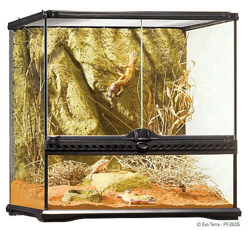Exo Terra - Terrarium en Verre pour Reptile - 45x45x45cm Image num&eacute;ro 1
