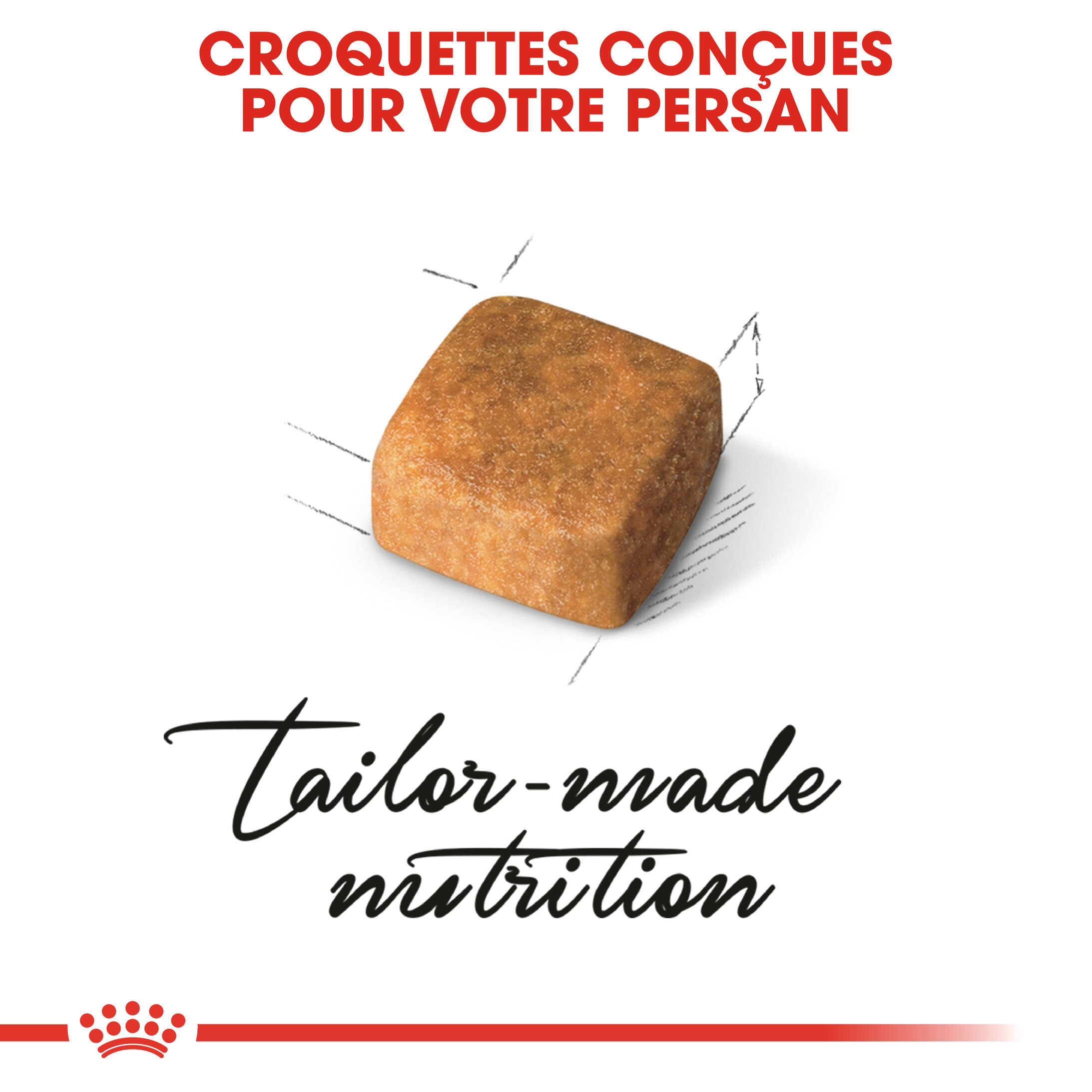 Royal Canin - Croquettes Persian Kitten pour Chatons - 2Kg Image num&eacute;ro 4