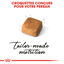 Royal Canin - Croquettes Persian Kitten pour Chatons - 2Kg Indicateur image num&eacute;ro 4