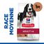 Hill's Science Plan - Adult Croquettes Pour Chien A L'agneau Et Riz  - 12kg Indicateur image numéro 4