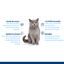 Nath - Croquettes Adult Sterilised au Poulet et Riz pour Chats - 400g Indicateur image num&eacute;ro 2
