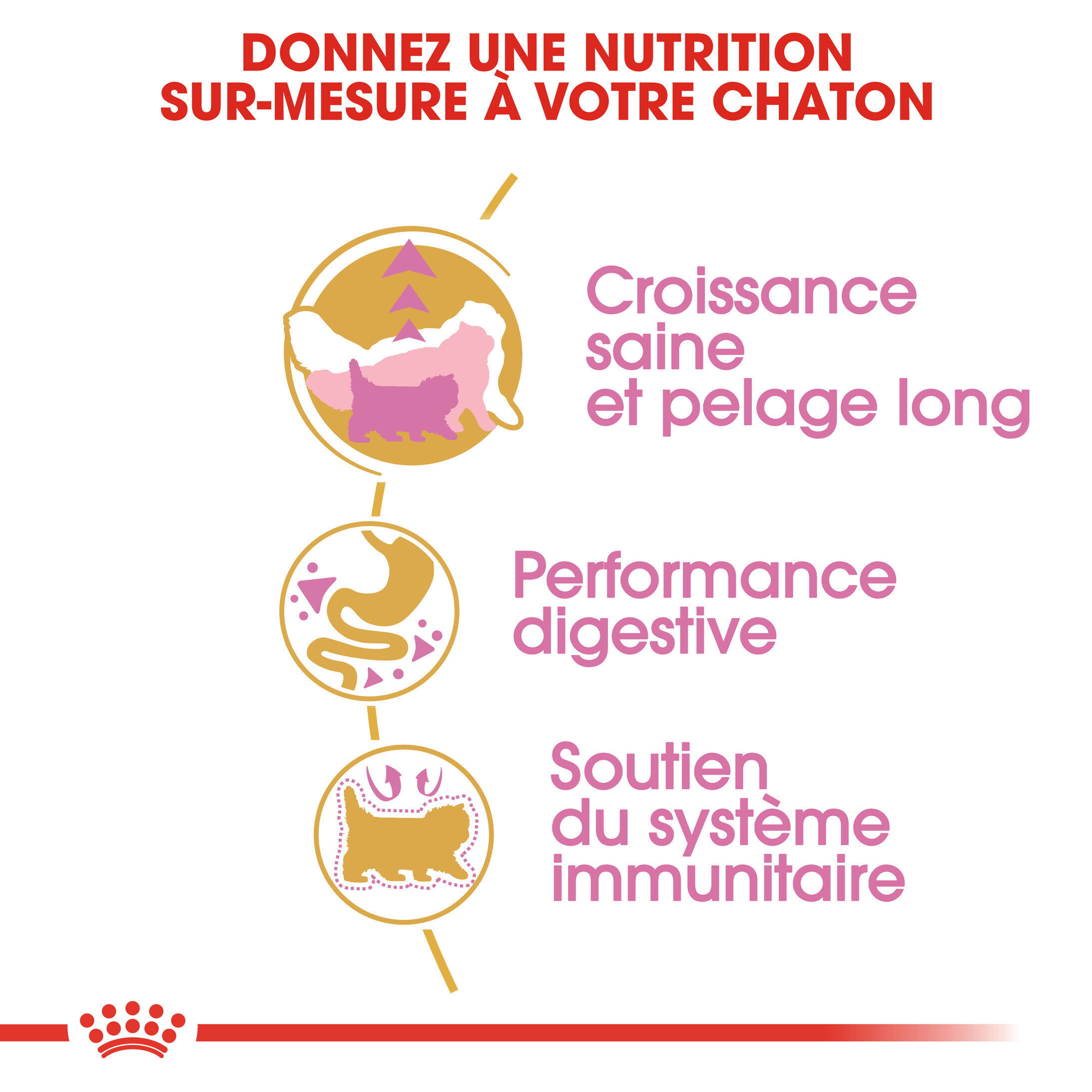 Royal Canin - Croquettes Persian Kitten pour Chatons - 2Kg Image num&eacute;ro 3