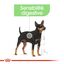 Royal Canin - Croquettes Mini Digestive Care pour Chien - 3Kg Indicateur image numéro 4