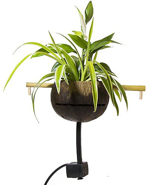 CocoPlant - Filtration Naturelle Coco30 pour Aquarium Image numéro 3 CocoPlant - Filtration Naturelle Coco30 pour Aquarium Image numéro 3