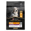 Pro Plan - Croquettes OPTIAGE Medium & Large Adult 7+ Poulet pour Chien Senior - 3Kg Indicateur image numéro 1