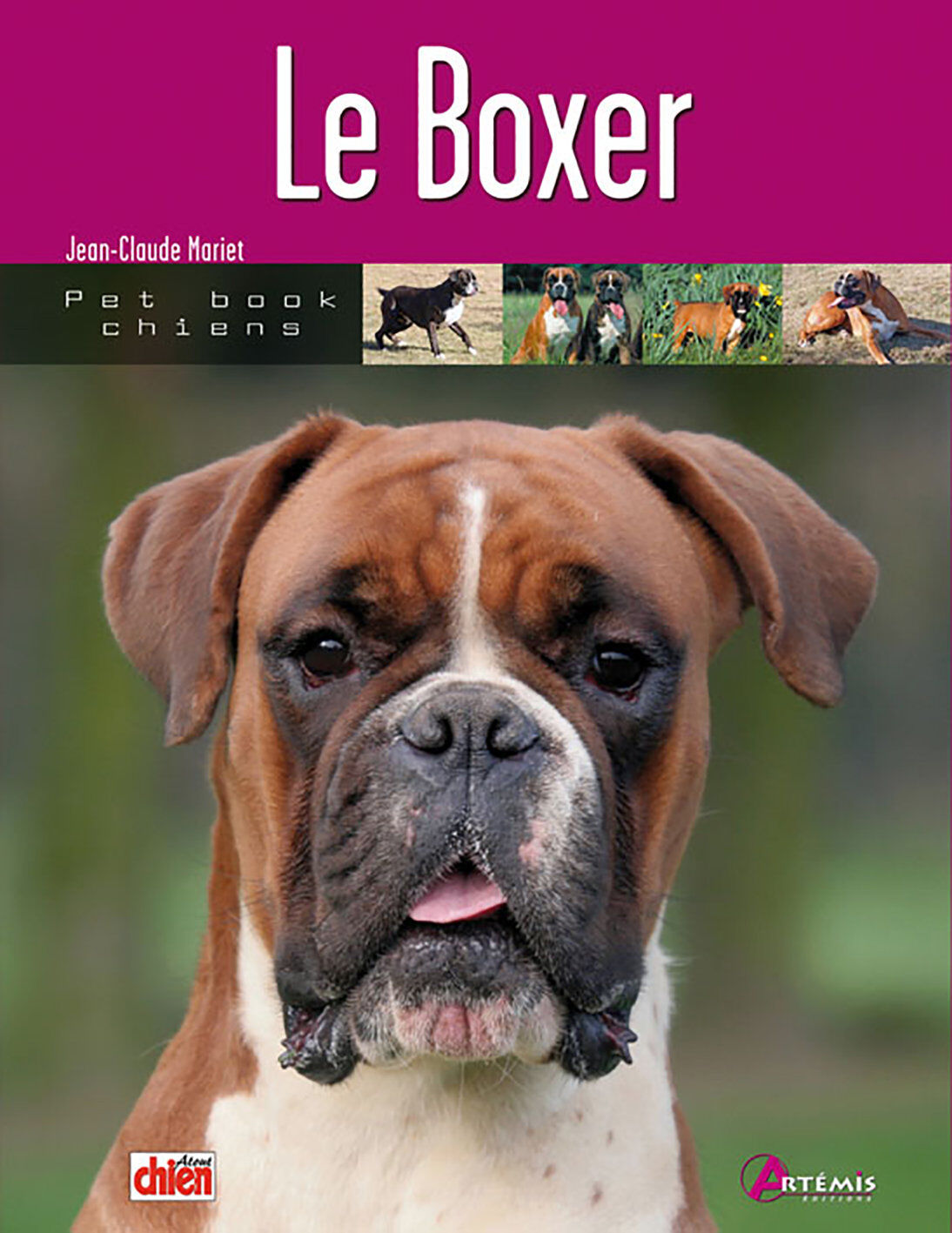 Art&eacute;mis - Le Boxer Image num&eacute;ro 1