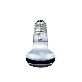 Arcadia - Spots Solar Basking 75 Watt - Réptiles