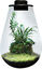 BioArt - Terrarium Drop 285 Led 5,1L pour Plantes - Noir Indicateur image numéro 1