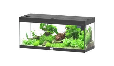 Aquatlantis - Aquarium Prestige 100 - Noir Led 2.0 EQP