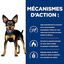 Hill's - Croquettes Prescription Diet Metabolic Mini pour Chiens - 1Kg Indicateur image numéro 4