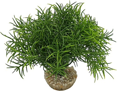 Labeo - Massif sprengeri vert - Plante Artificielle Aquarium