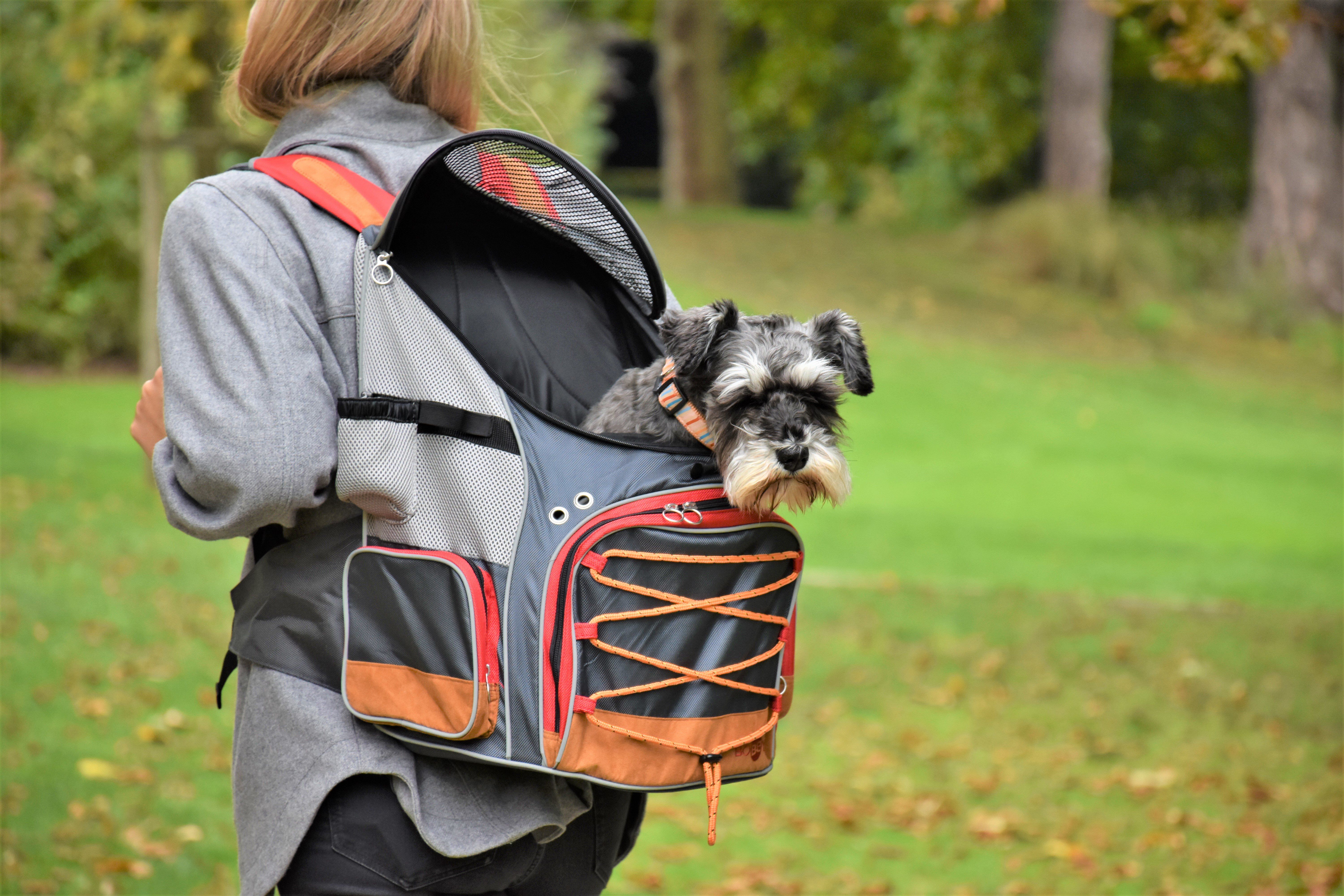 Bobby - Sac &agrave; Dos Dune pour Chiens - Gris Image num&eacute;ro 5