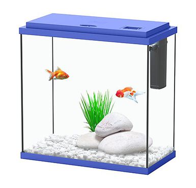 Animalis - Aquarium Squiz Equipé Marine - 18L 