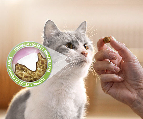 Dentalife - Friandises au Poulet pour chats adultes - 140g Image num&eacute;ro 5
