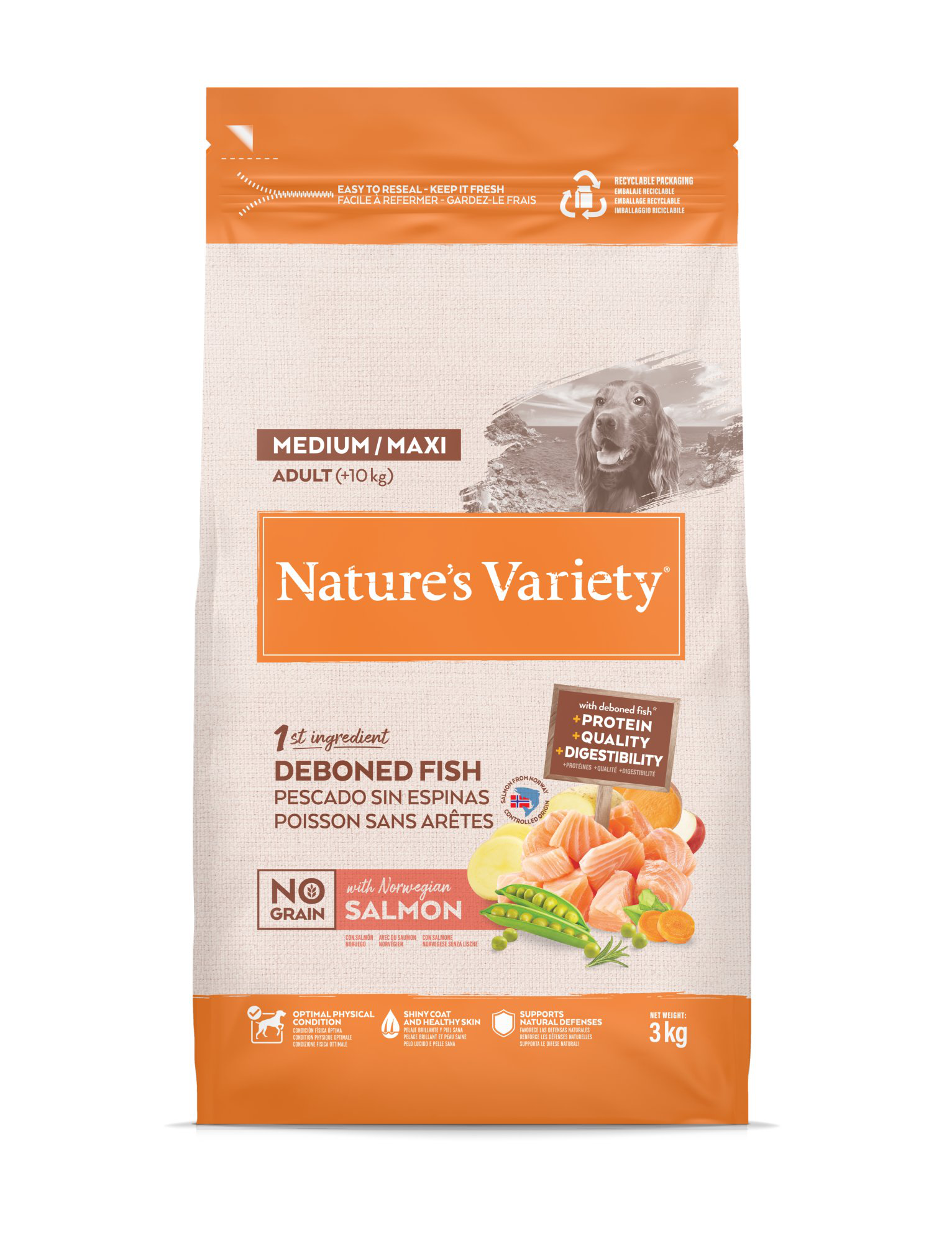 Nature's Variety - Croquettes No Grain Adulte Au Saumon Pour Chiens - 3kg Image num&eacute;ro 2