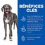 Hill's Science Plan - Perfect Digestion Large Breed Croquettes Pour Chien  - 12kg Indicateur image numéro 3