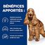 Hill's - Croquettes Prescription Diet Z/D Food Sensitivities pour Chiens - 8Kg Indicateur image numéro 3