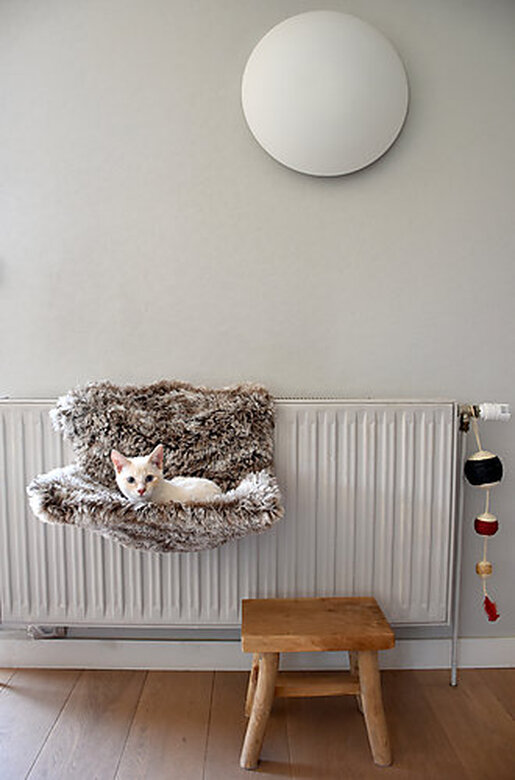 Bobby - Hamac Radiateur Poilu pour Chat - Taupe image number null