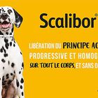 Scalibor - Collier Antiparasitaire pour Chien image number null