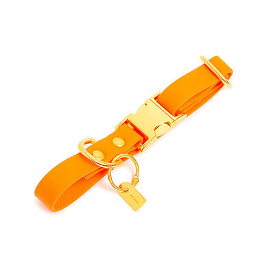 Pop Dog - Collier Pitchoune Orange pour Chien - M