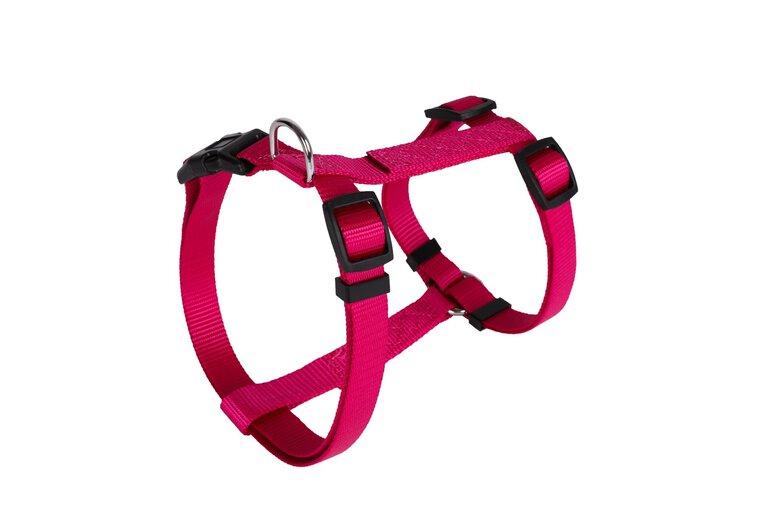 Animalis - Harnais Basic pour Chien - Fuchsia image number null