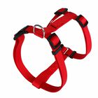 Animalis - Harnais Basic pour Chien - Rouge image number null