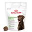 Royal Canin - Aliment Complémentaire Adult Digestion Chews pour Chiens - 160g Indicateur image numéro 9