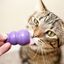 KONG - Jouet Kitty KONG en Caoutchouc pour Chats Indicateur image numéro 4
