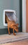 Ferplast - Chatière Swing 11 pour Chiens - Gris Indicateur image numéro 4