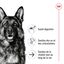 Royal Canin - Croquettes Maxi Ageing 8+ pour Chien Senior - 15Kg Indicateur image numéro 12