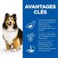Hill's Science Plan - Adult Sensitive Stomach & Skin Croquettes Pour Chien Au Poulet  - 12kg Indicateur image numéro 4