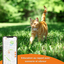 Weenect - Traceur GPS XS Edition 2023 pour Chats - Blanc Indicateur image numéro 6
