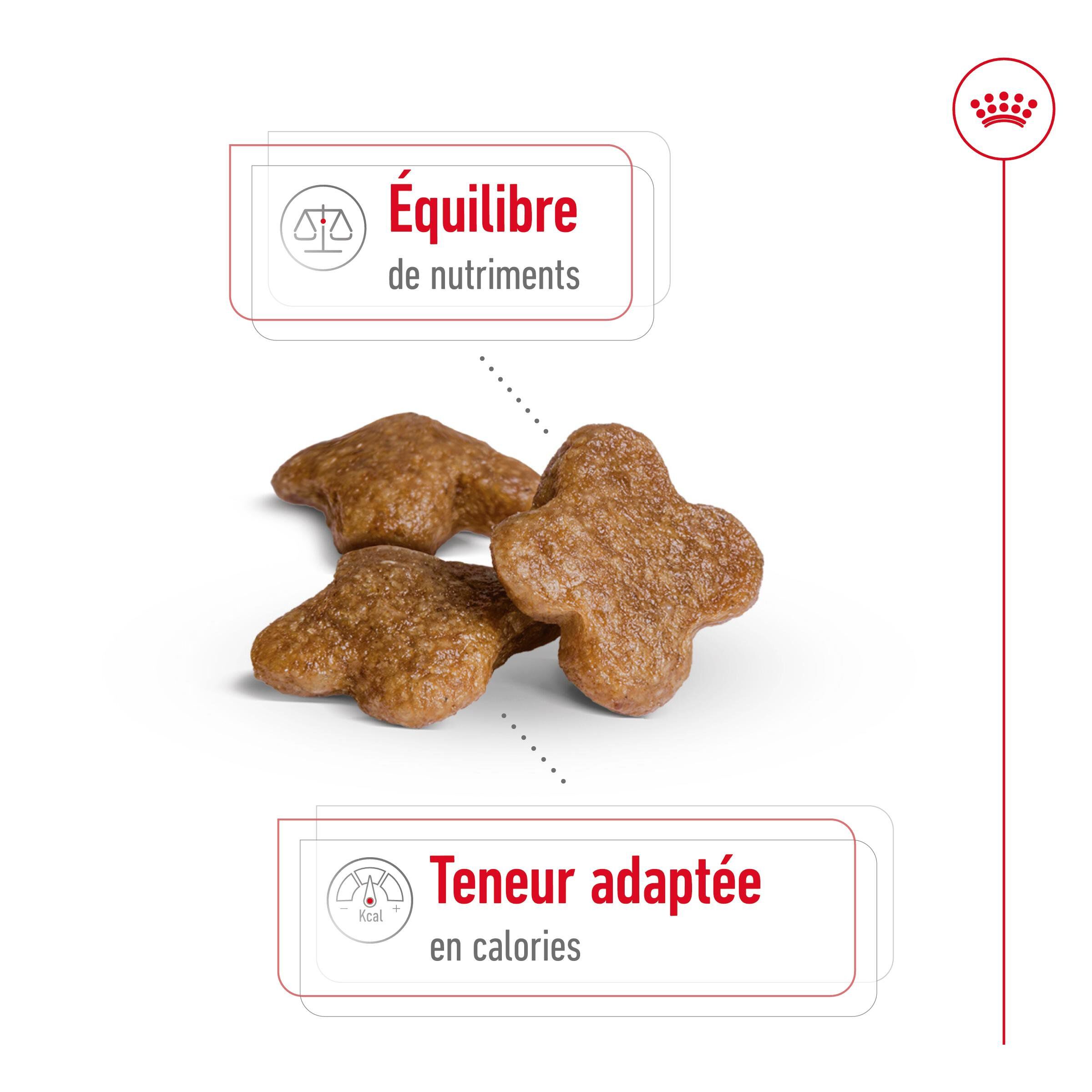 Royal Canin - Croquettes Mini 8+ pour Chien Adulte - 4Kg Image num&eacute;ro 12