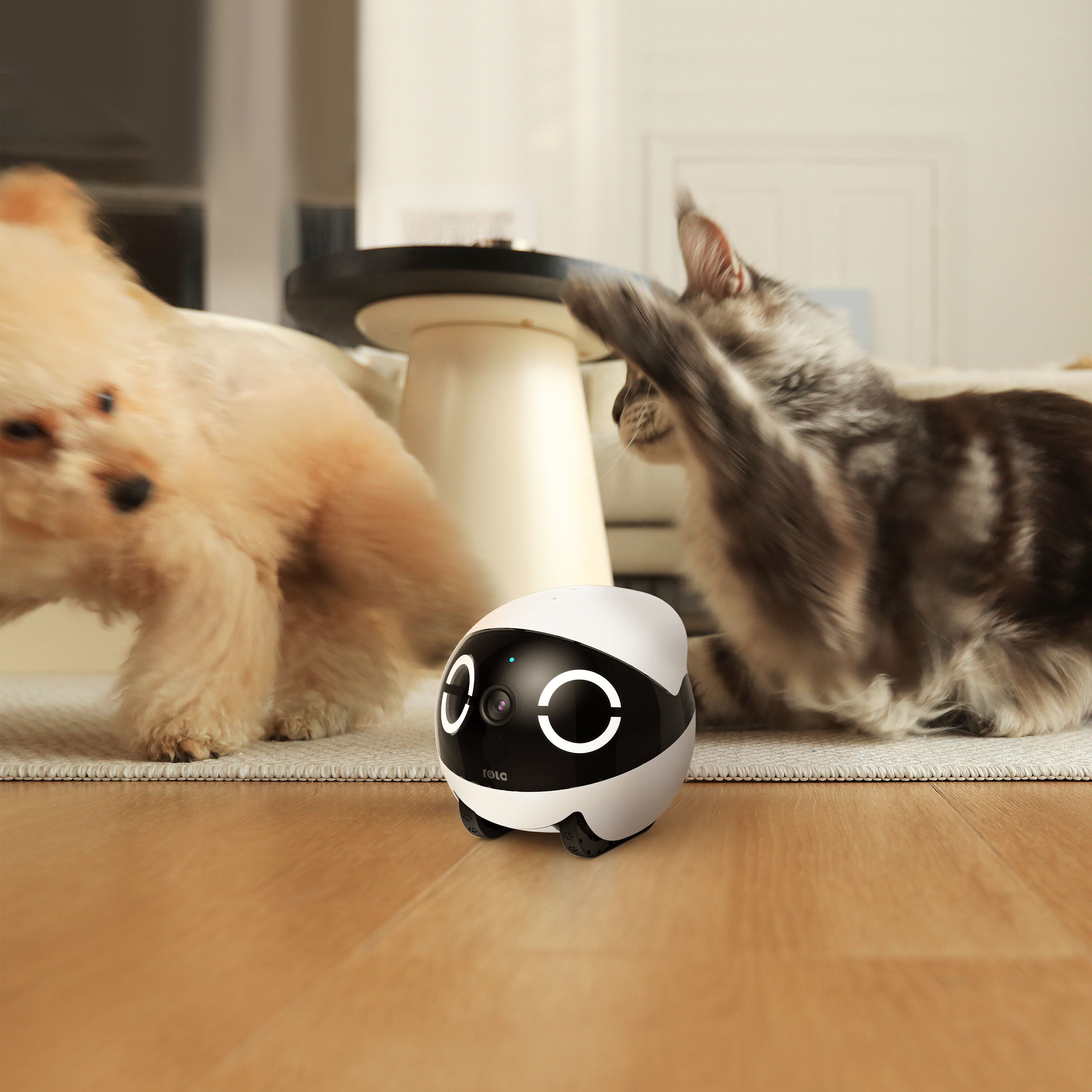 Enabot - Mini Cam&eacute;ra Robotique EBO ROLA 2K pour Chiens et Chats - x1 Image num&eacute;ro 3