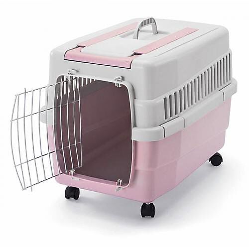 Caisse de transport hotsell chat avec roulettes