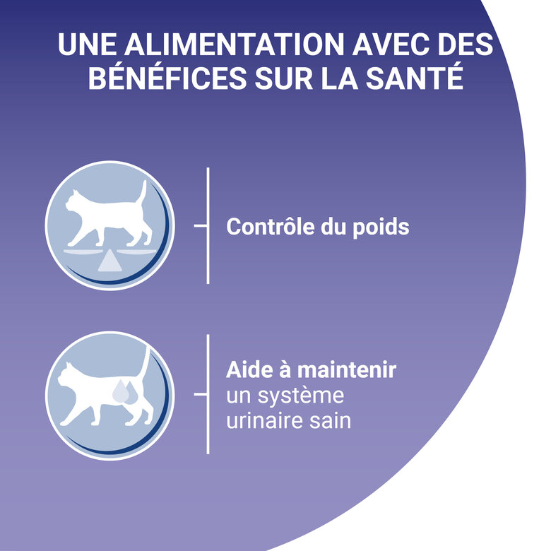 PURINA ONE - Sachets fraîcheurs Poulet et Boeuf pour Chats Stérilisés - 4x85g Image numéro 5 PURINA ONE - Sachets fraîcheurs Poulet et Boeuf pour Chats Stérilisés - 4x85g Image numéro 5