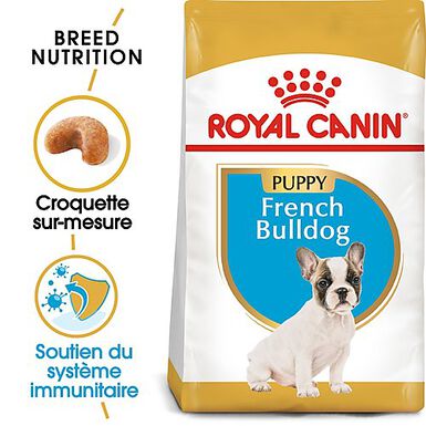 Royal Canin - Croquettes Bouledogue Français Junior pour Chiot