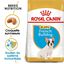 Royal Canin - Croquettes Bouledogue Français Junior pour Chiot - 10Kg Indicateur image numéro 3