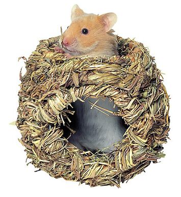 Kerbl - Cachette en Herbe pour Hamsters