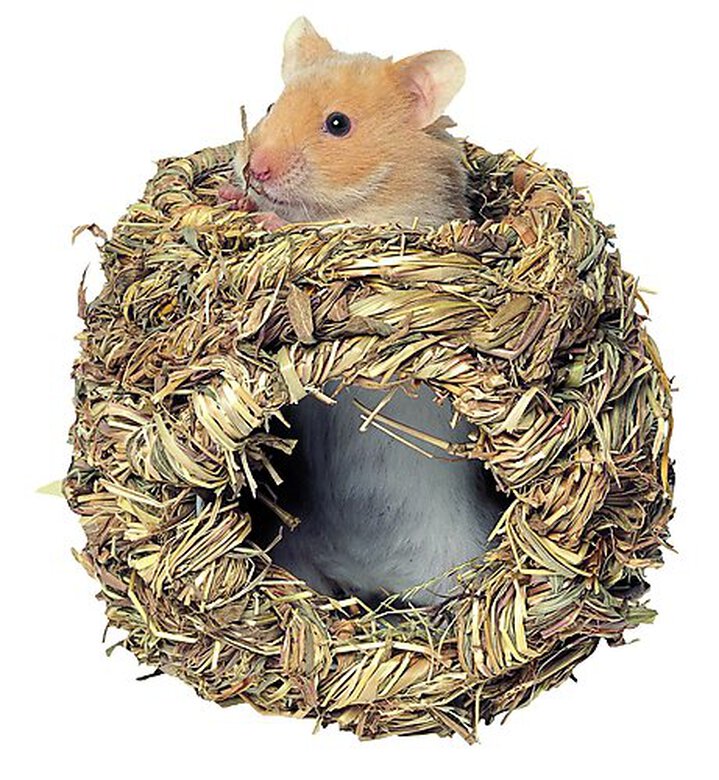 Kerbl - Cachette en Herbe pour Hamsters image number null