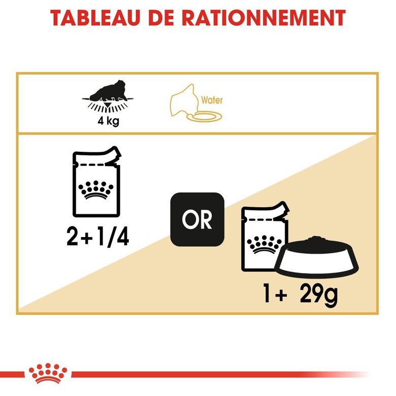 Royal Canin - Sachets Persian en Mousse pour Chat - 12x85g Image numéro 6 Royal Canin - Sachets Persian en Mousse pour Chat - 12x85g Image numéro 6