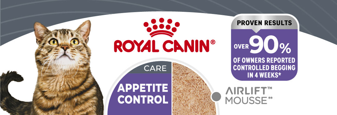 Royal Canin - P&acirc;t&eacute;e en Mousse Airlift Appetite Control Care pour Chats - 12x85g Image num&eacute;ro 1