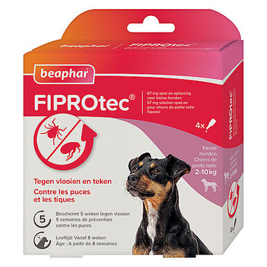 Beaphar - Pipettes Antiparasitaires Fiprotec pour Petit Chien - X4